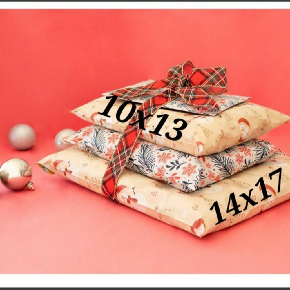 Snowman Design 14x17  10 bags included. - Picture 2 of 11